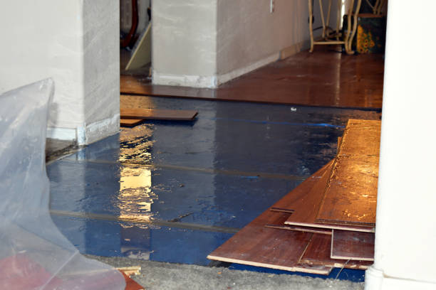 Professional Basement Flood Cleanup technician working in Macomb, MI